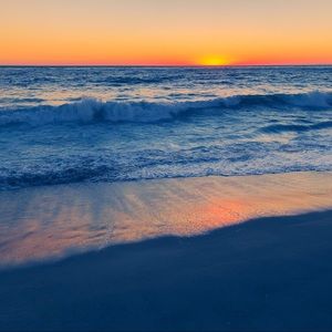 Meet your Posher, Ella